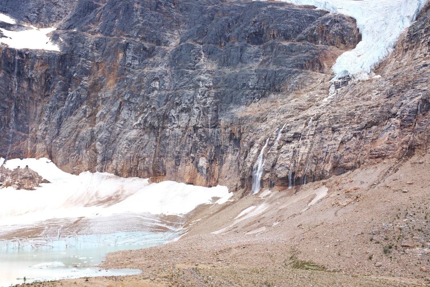 Icefields