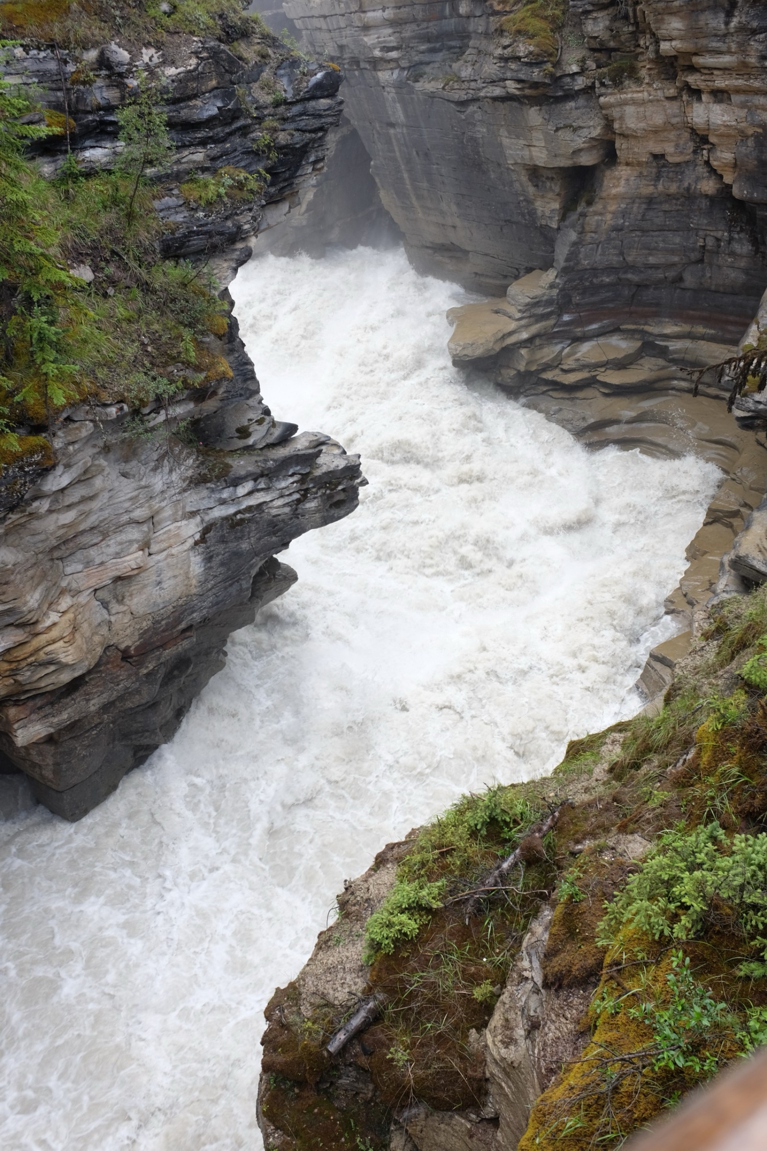 Icefields