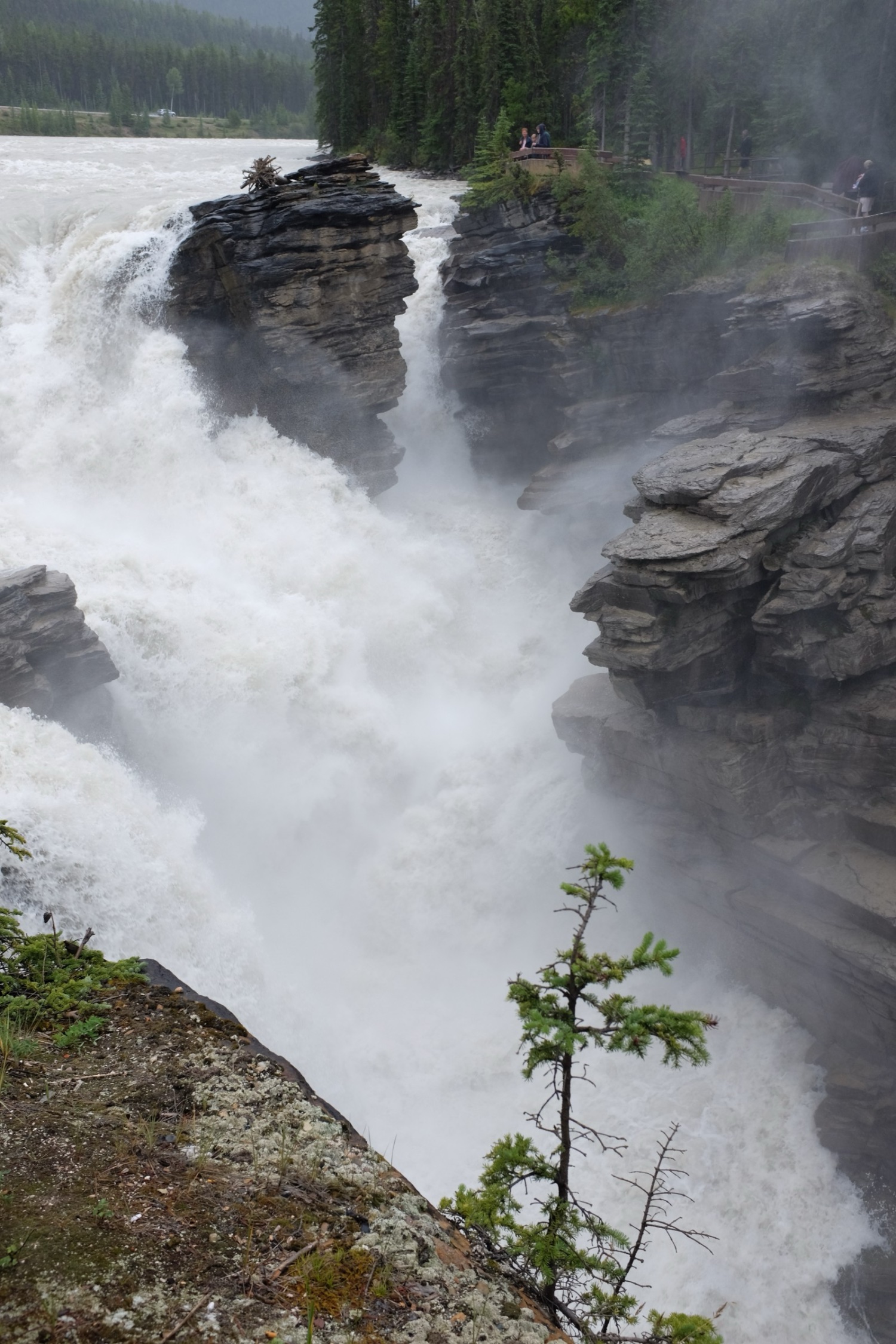 Icefields