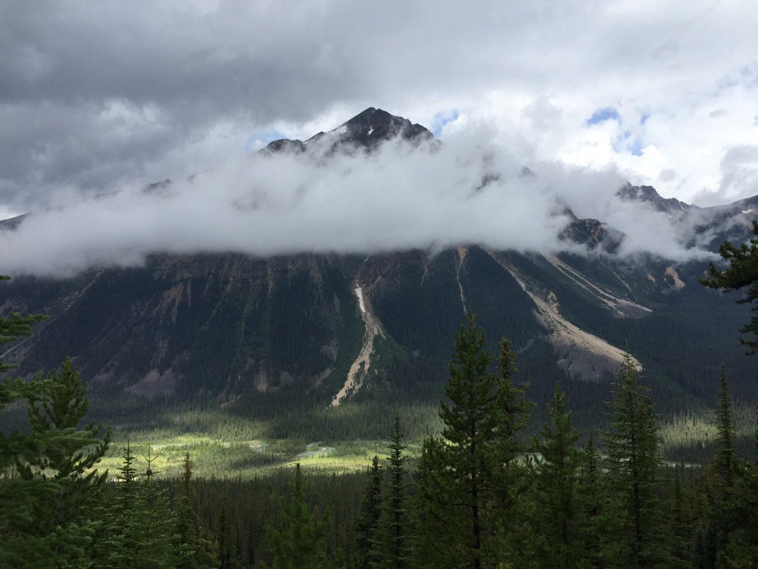 Icefields