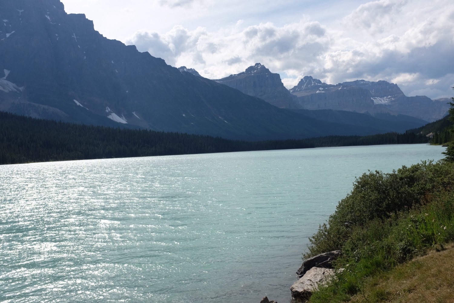 Icefields