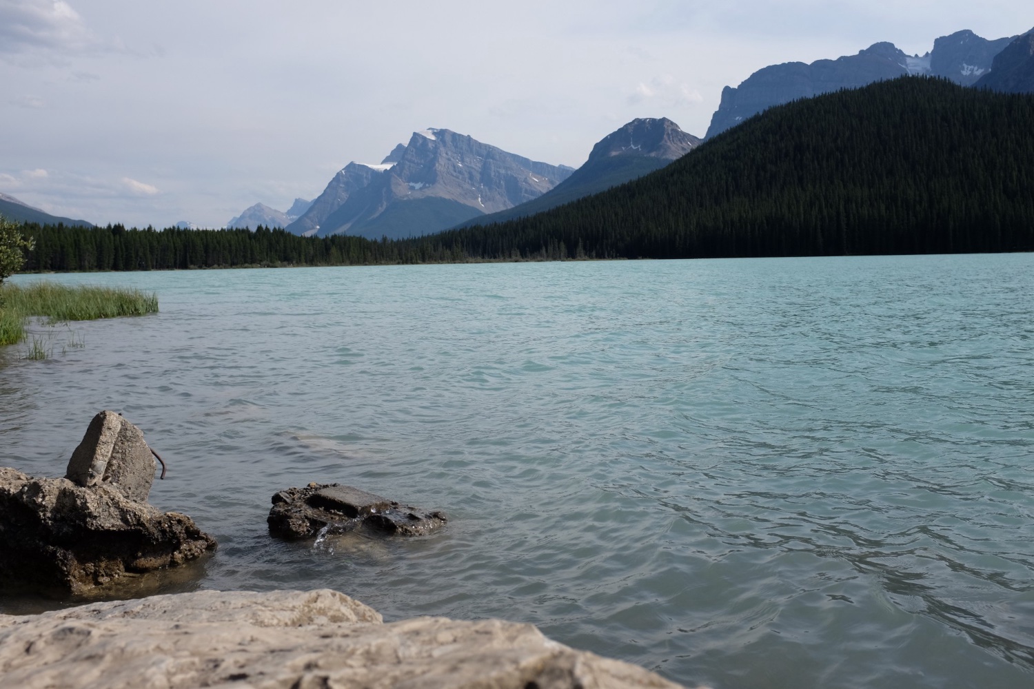 Icefields