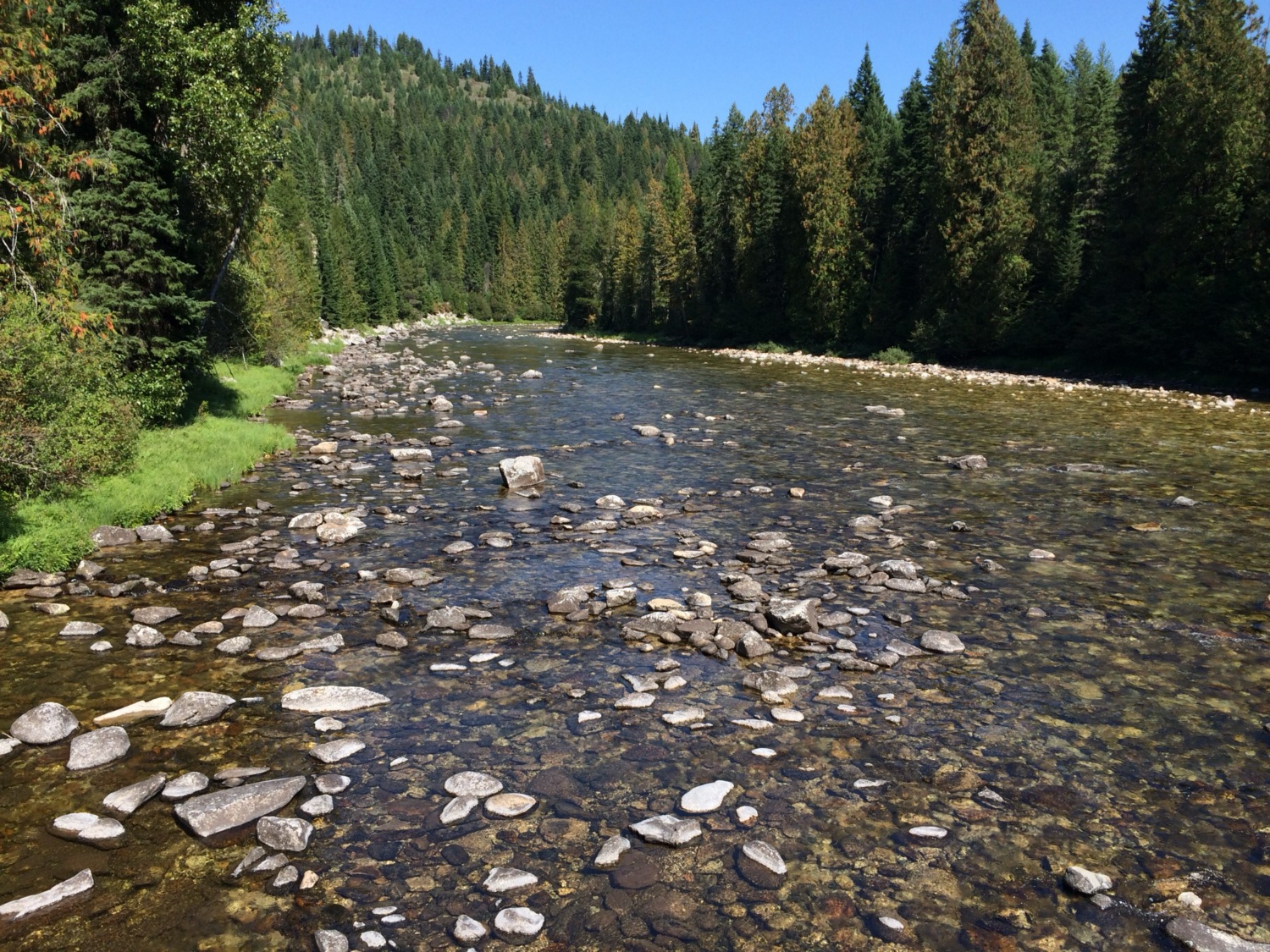 Yellowstone