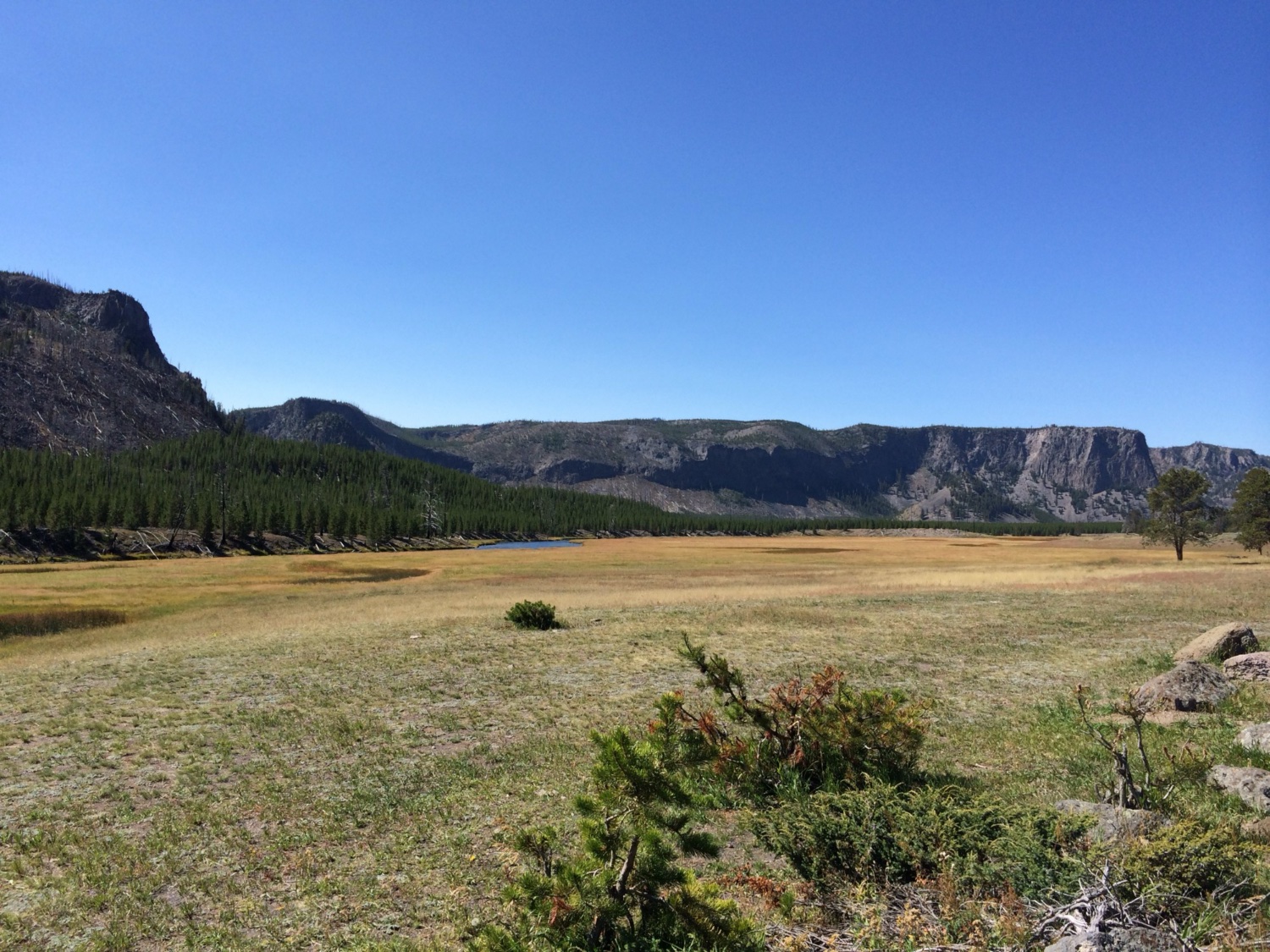 Yellowstone