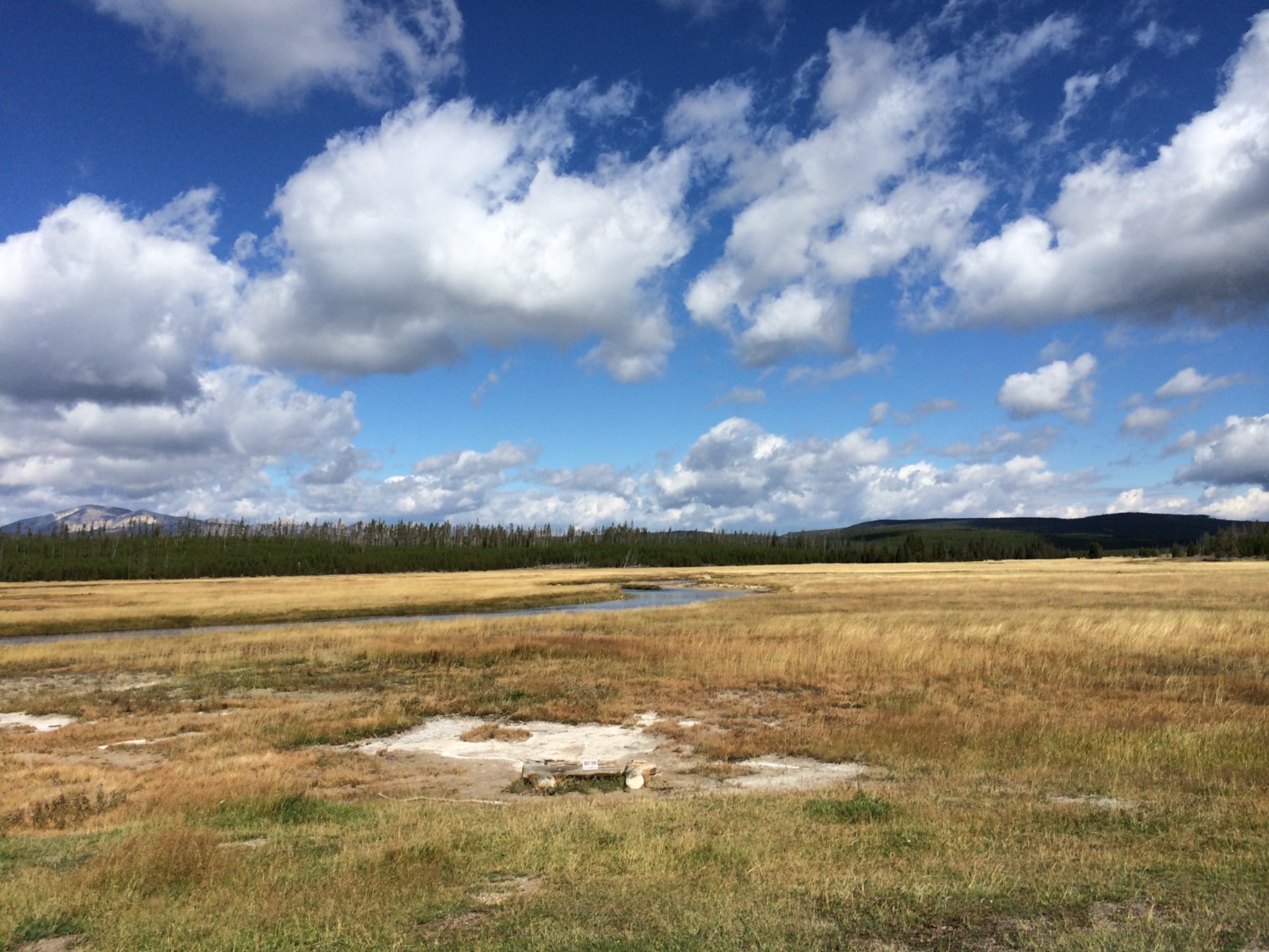 Yellowstone