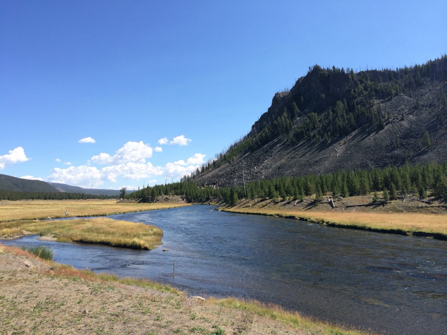 Yellowstone